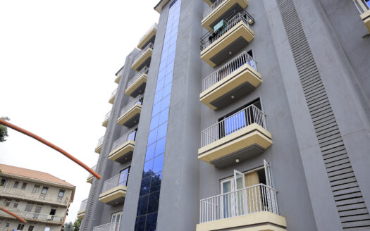 Furnished 1 Bedroom Apartment for Daily Rent in Muyenga