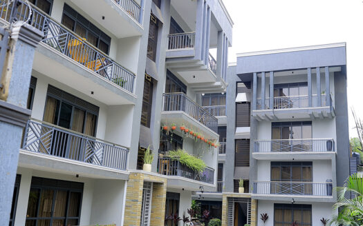 Executive Furnished 1 Bedroom Apartment for Daily Rent in Muyenga